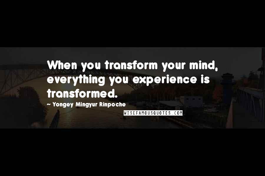 Yongey Mingyur Rinpoche Quotes: When you transform your mind, everything you experience is transformed.