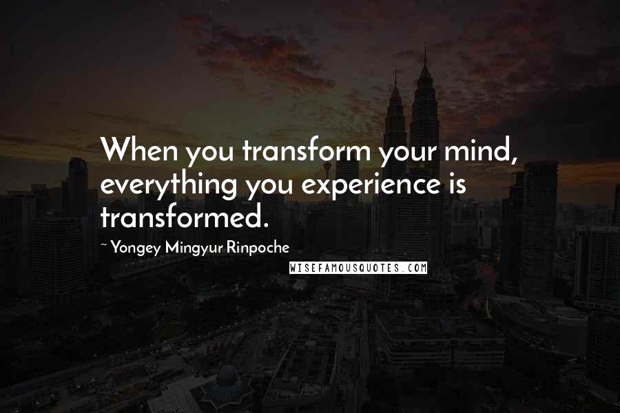 Yongey Mingyur Rinpoche Quotes: When you transform your mind, everything you experience is transformed.