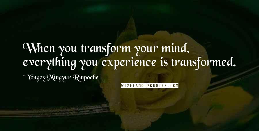 Yongey Mingyur Rinpoche Quotes: When you transform your mind, everything you experience is transformed.