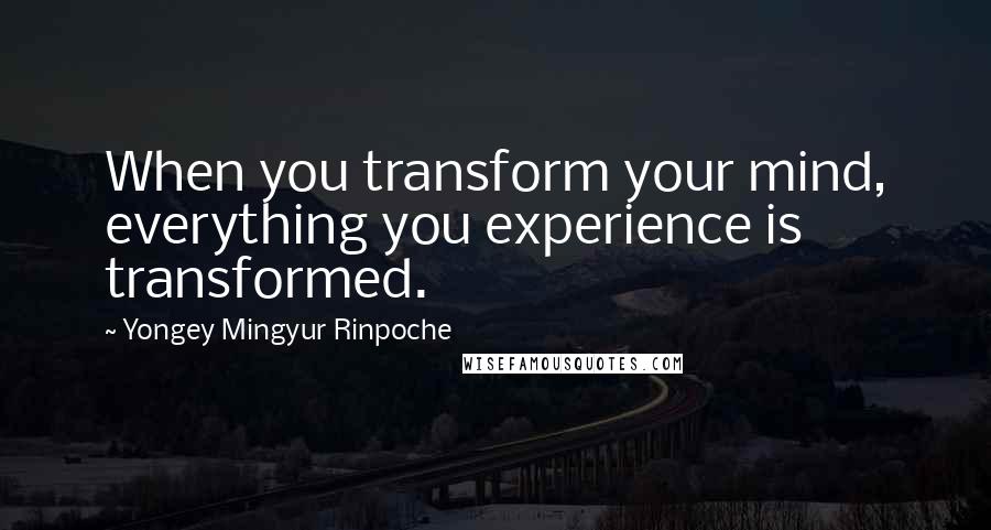 Yongey Mingyur Rinpoche Quotes: When you transform your mind, everything you experience is transformed.