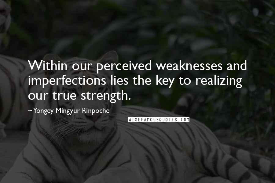 Yongey Mingyur Rinpoche Quotes: Within our perceived weaknesses and imperfections lies the key to realizing our true strength.