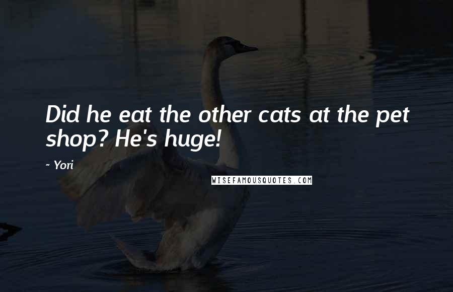 Yori Quotes: Did he eat the other cats at the pet shop? He's huge!
