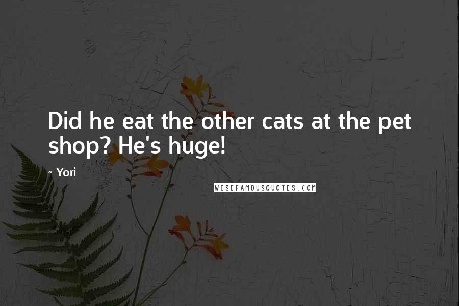 Yori Quotes: Did he eat the other cats at the pet shop? He's huge!