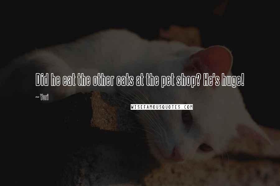 Yori Quotes: Did he eat the other cats at the pet shop? He's huge!
