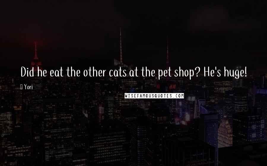 Yori Quotes: Did he eat the other cats at the pet shop? He's huge!