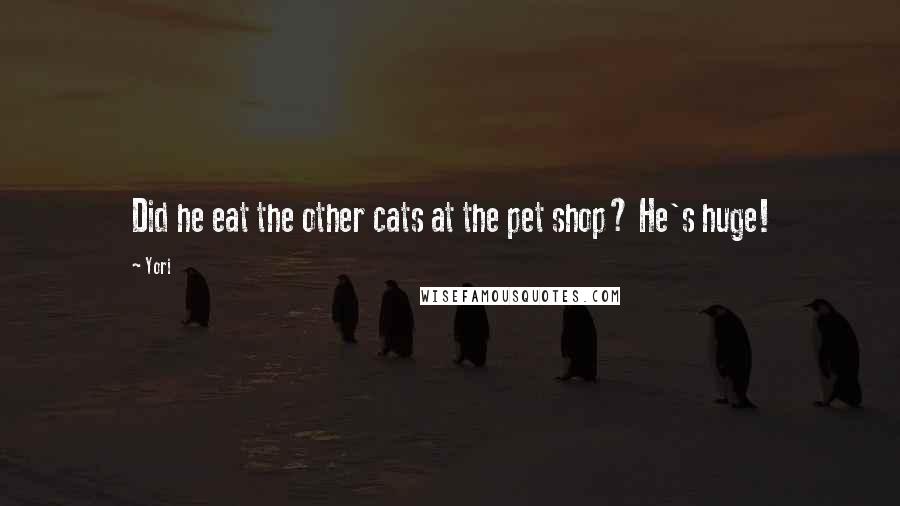 Yori Quotes: Did he eat the other cats at the pet shop? He's huge!