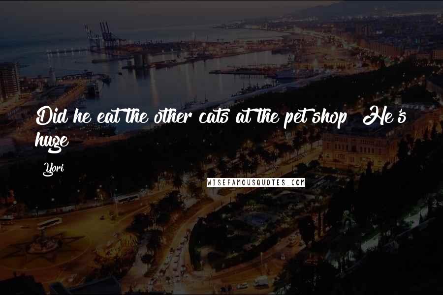 Yori Quotes: Did he eat the other cats at the pet shop? He's huge!