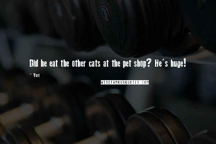 Yori Quotes: Did he eat the other cats at the pet shop? He's huge!