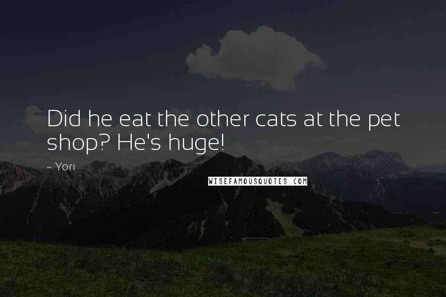 Yori Quotes: Did he eat the other cats at the pet shop? He's huge!