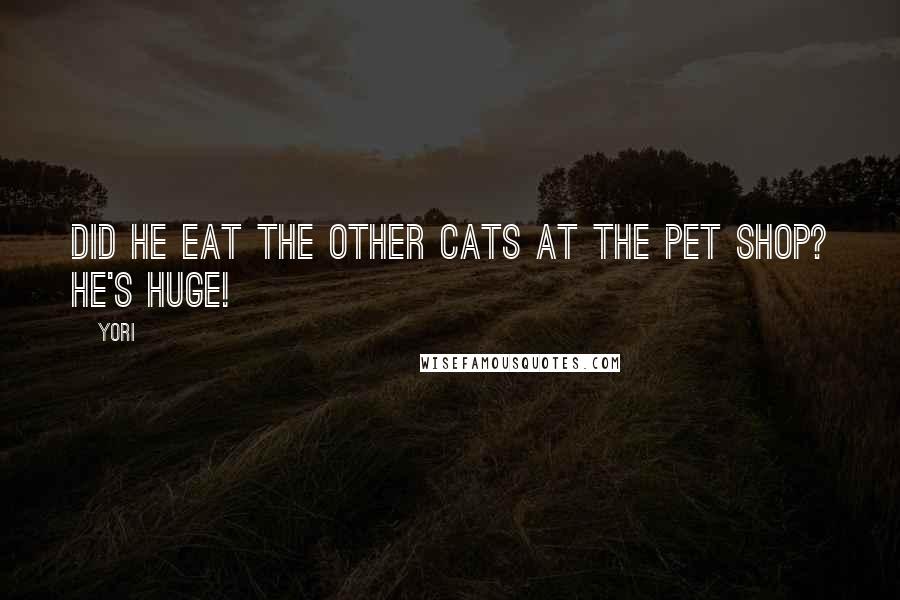 Yori Quotes: Did he eat the other cats at the pet shop? He's huge!