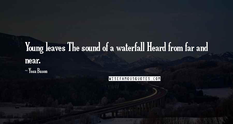 Yosa Buson Quotes: Young leaves The sound of a waterfall Heard from far and near.