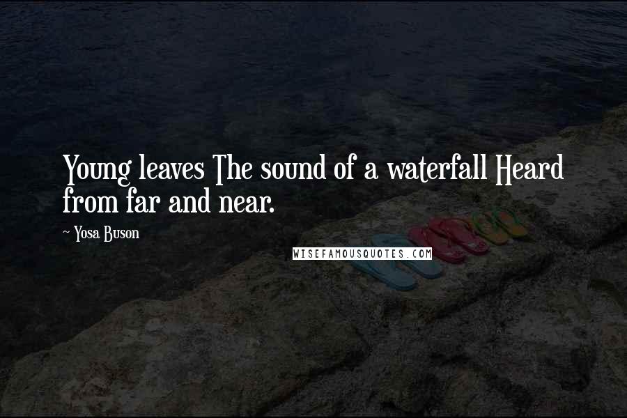 Yosa Buson Quotes: Young leaves The sound of a waterfall Heard from far and near.
