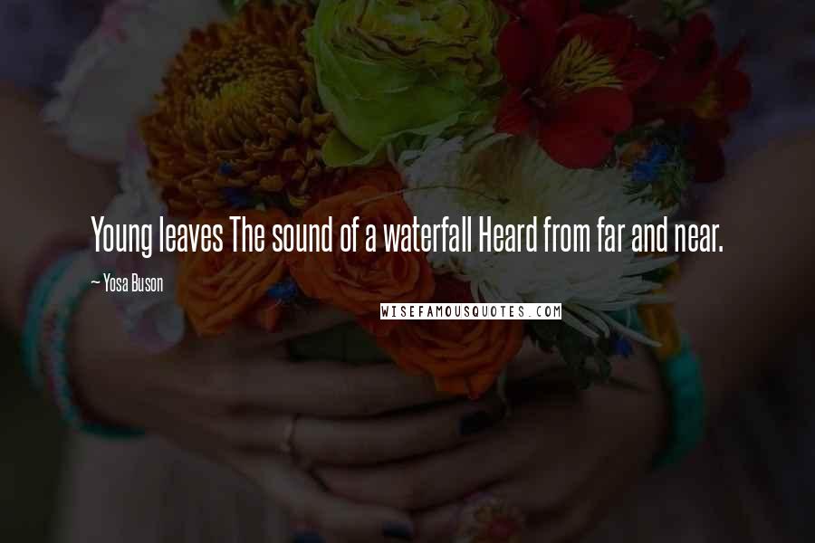 Yosa Buson Quotes: Young leaves The sound of a waterfall Heard from far and near.