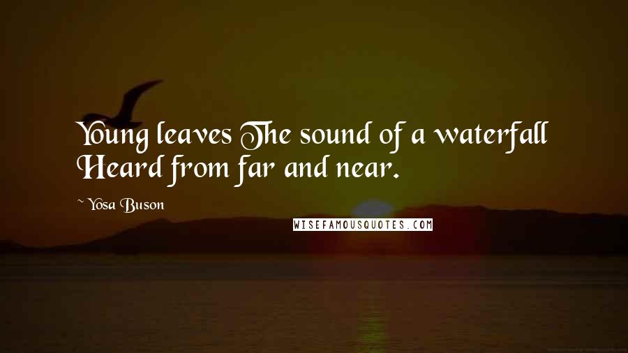 Yosa Buson Quotes: Young leaves The sound of a waterfall Heard from far and near.