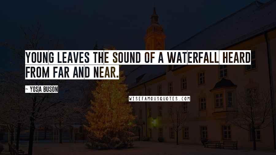 Yosa Buson Quotes: Young leaves The sound of a waterfall Heard from far and near.