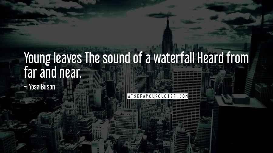 Yosa Buson Quotes: Young leaves The sound of a waterfall Heard from far and near.