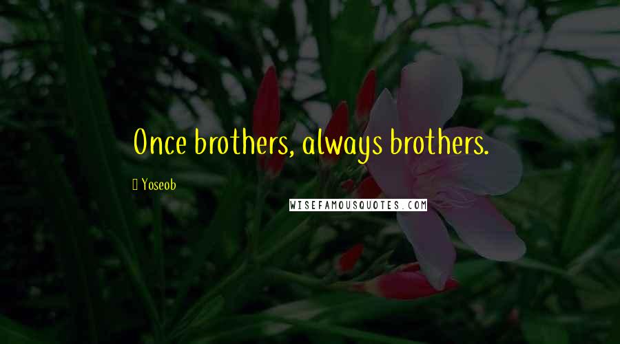 Yoseob Quotes: Once brothers, always brothers.