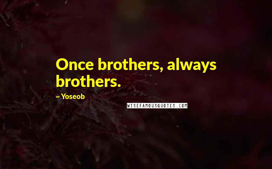 Yoseob Quotes: Once brothers, always brothers.