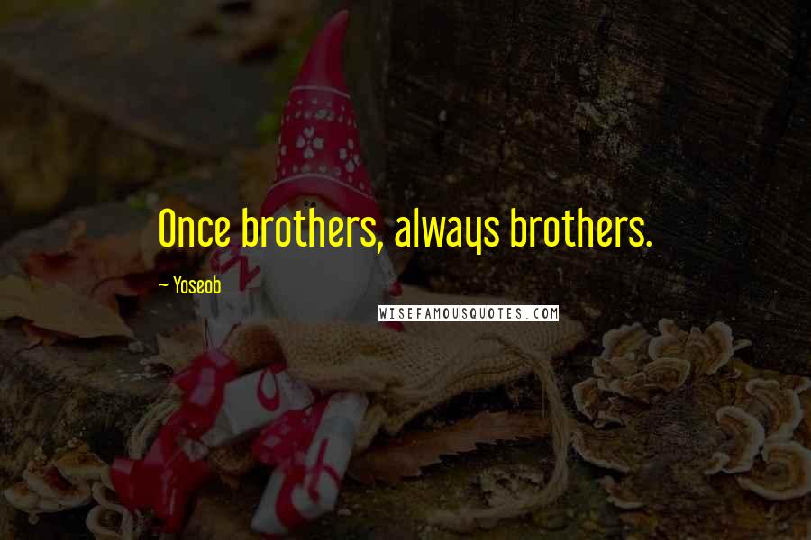 Yoseob Quotes: Once brothers, always brothers.