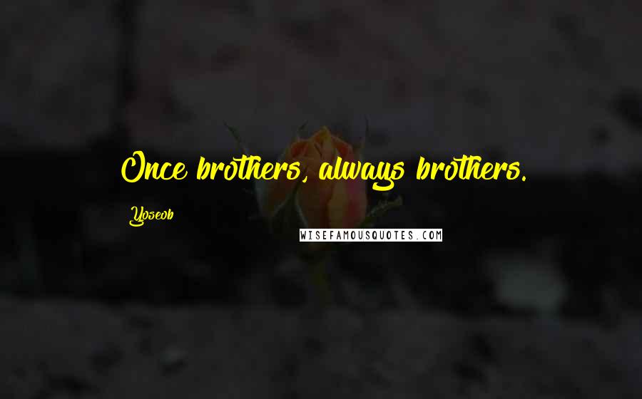 Yoseob Quotes: Once brothers, always brothers.