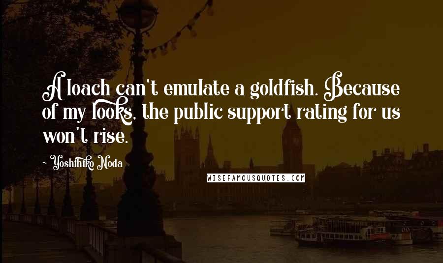 Yoshihiko Noda Quotes: A loach can't emulate a goldfish. Because of my looks, the public support rating for us won't rise.