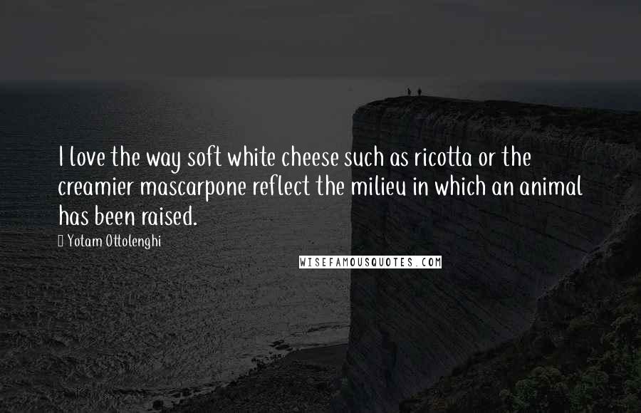 Yotam Ottolenghi Quotes: I love the way soft white cheese such as ricotta or the creamier mascarpone reflect the milieu in which an animal has been raised.