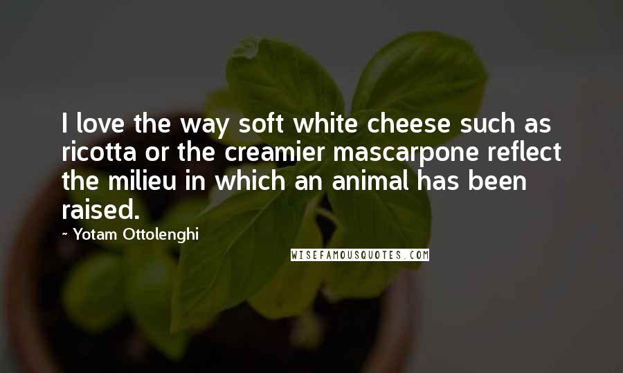 Yotam Ottolenghi Quotes: I love the way soft white cheese such as ricotta or the creamier mascarpone reflect the milieu in which an animal has been raised.