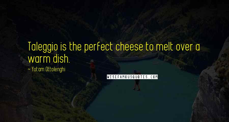 Yotam Ottolenghi Quotes: Taleggio is the perfect cheese to melt over a warm dish.