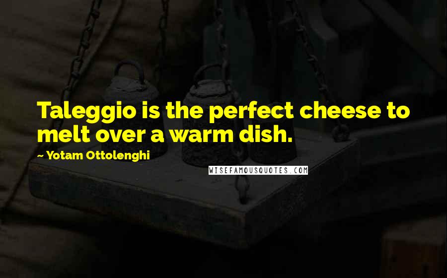 Yotam Ottolenghi Quotes: Taleggio is the perfect cheese to melt over a warm dish.