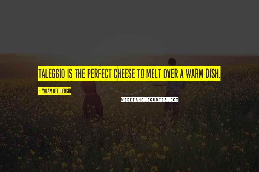Yotam Ottolenghi Quotes: Taleggio is the perfect cheese to melt over a warm dish.