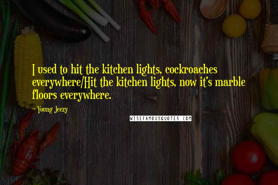 Young Jeezy Quotes: I used to hit the kitchen lights, cockroaches everywhere/Hit the kitchen lights, now it's marble floors everywhere.