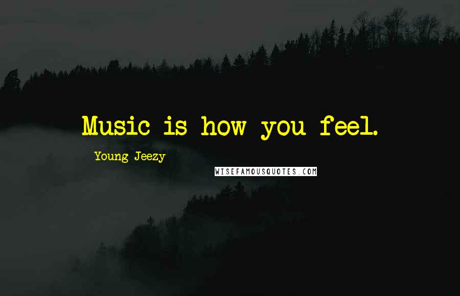 Young Jeezy Quotes: Music is how you feel.