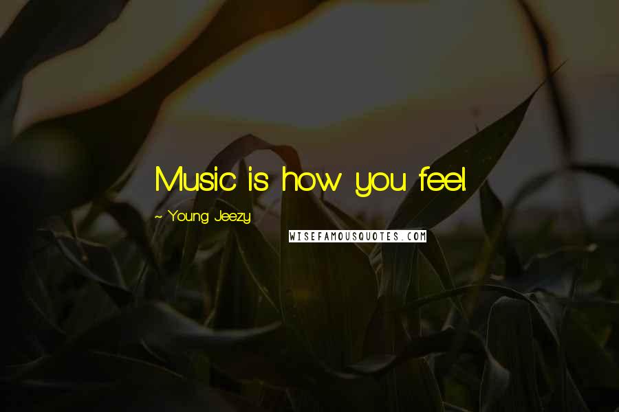 Young Jeezy Quotes: Music is how you feel.