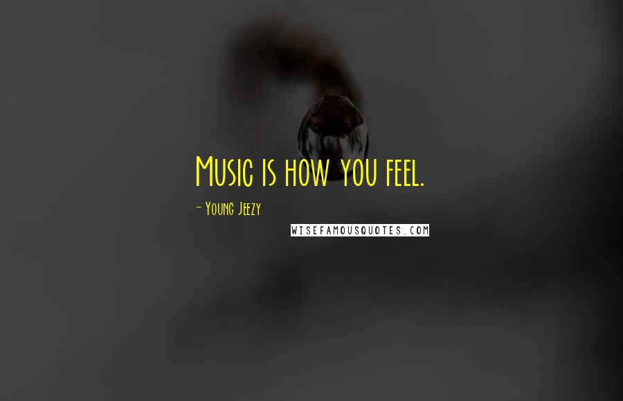 Young Jeezy Quotes: Music is how you feel.