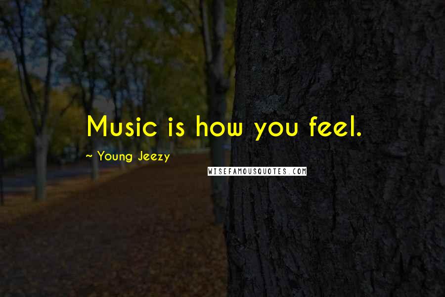 Young Jeezy Quotes: Music is how you feel.