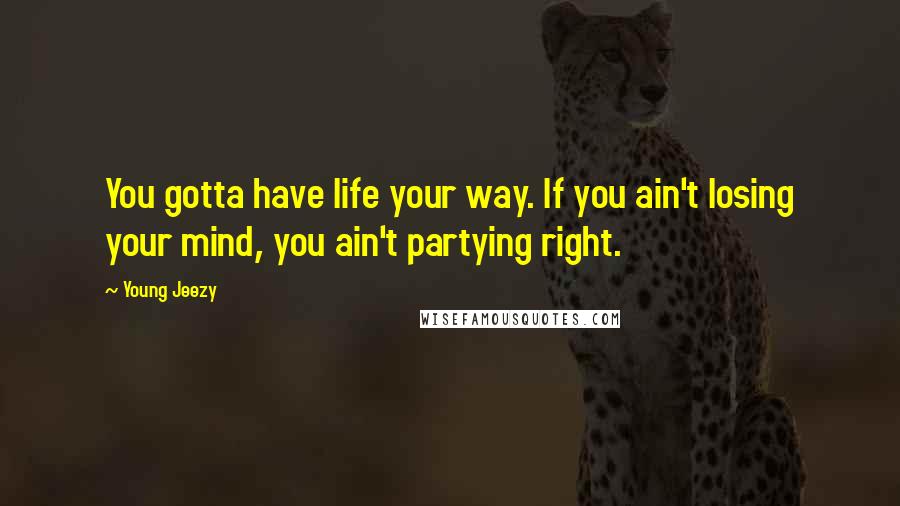 Young Jeezy Quotes: You gotta have life your way. If you ain't losing your mind, you ain't partying right.