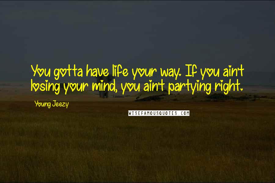 Young Jeezy Quotes: You gotta have life your way. If you ain't losing your mind, you ain't partying right.