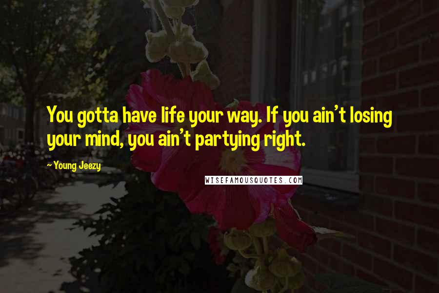 Young Jeezy Quotes: You gotta have life your way. If you ain't losing your mind, you ain't partying right.