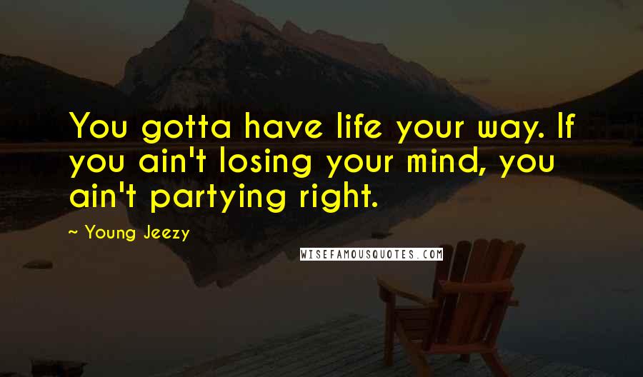 Young Jeezy Quotes: You gotta have life your way. If you ain't losing your mind, you ain't partying right.