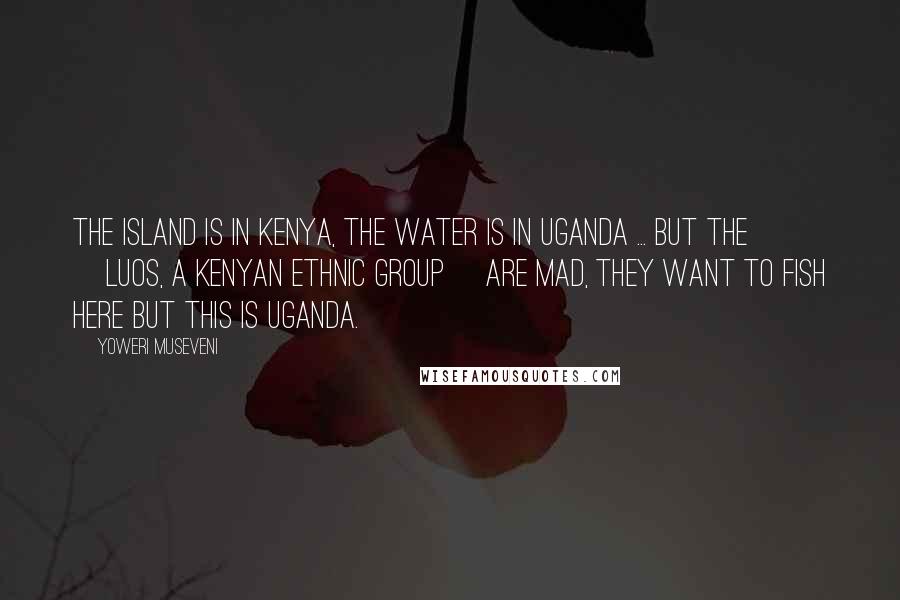 Yoweri Museveni Quotes: The island is in Kenya, the water is in Uganda ... But the [Luos, a Kenyan ethnic group] are mad, they want to fish here but this is Uganda.