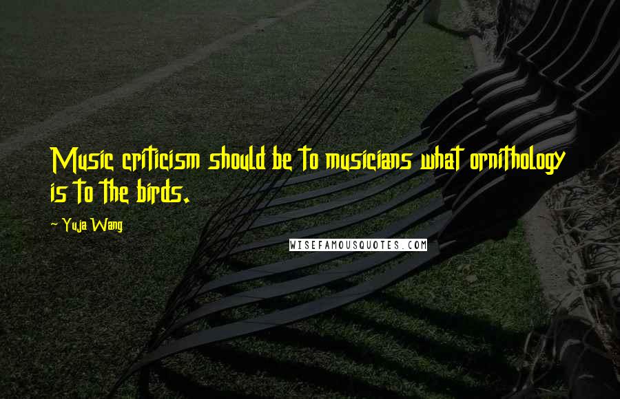 Yuja Wang Quotes: Music criticism should be to musicians what ornithology is to the birds.