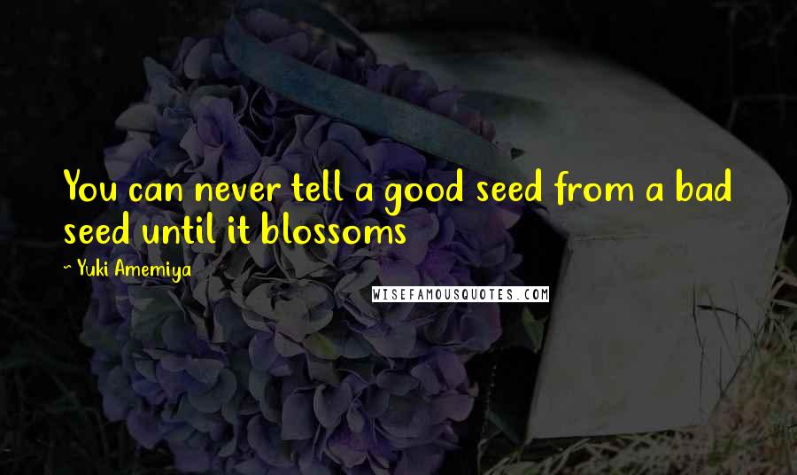 Yuki Amemiya Quotes: You can never tell a good seed from a bad seed until it blossoms