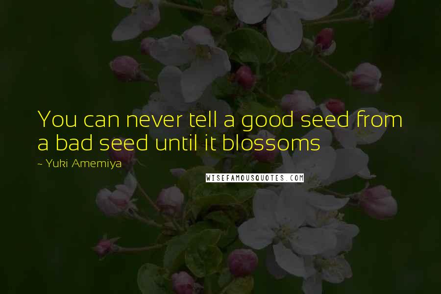 Yuki Amemiya Quotes: You can never tell a good seed from a bad seed until it blossoms