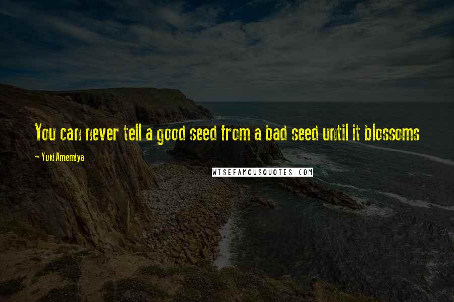 Yuki Amemiya Quotes: You can never tell a good seed from a bad seed until it blossoms