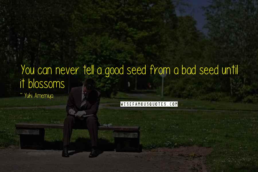 Yuki Amemiya Quotes: You can never tell a good seed from a bad seed until it blossoms