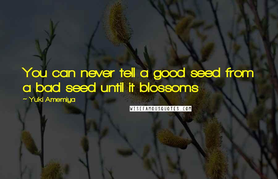 Yuki Amemiya Quotes: You can never tell a good seed from a bad seed until it blossoms