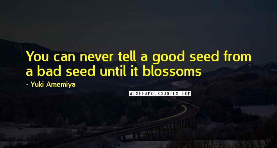 Yuki Amemiya Quotes: You can never tell a good seed from a bad seed until it blossoms