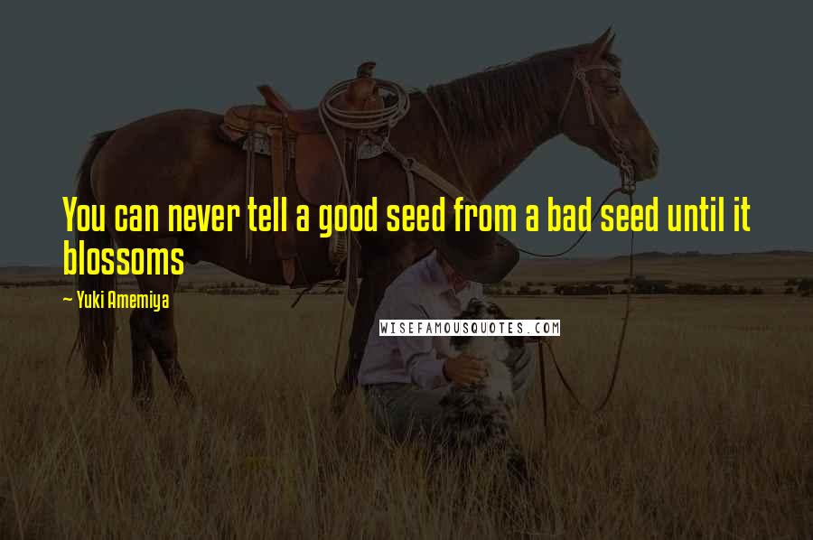 Yuki Amemiya Quotes: You can never tell a good seed from a bad seed until it blossoms