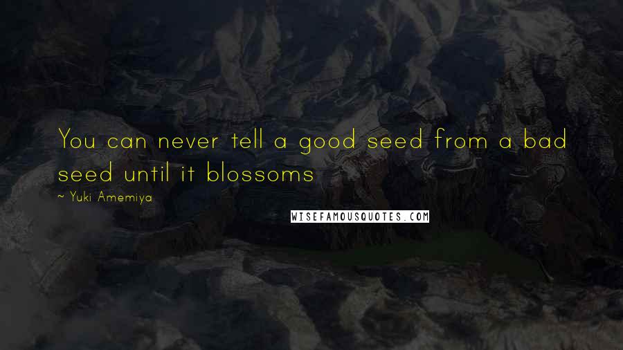 Yuki Amemiya Quotes: You can never tell a good seed from a bad seed until it blossoms