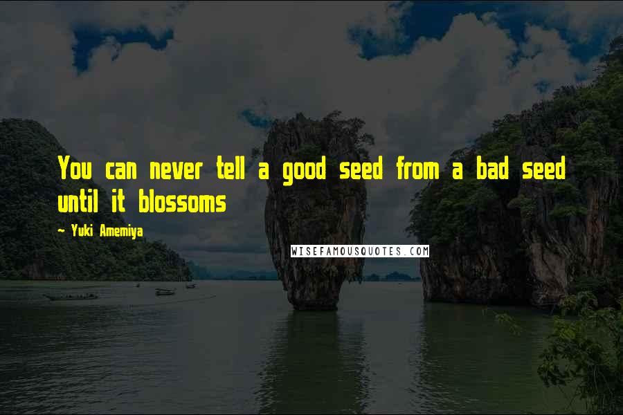 Yuki Amemiya Quotes: You can never tell a good seed from a bad seed until it blossoms